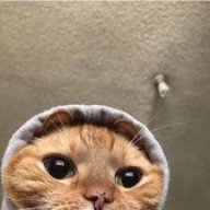 mrskawaii