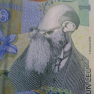 SpargBuci