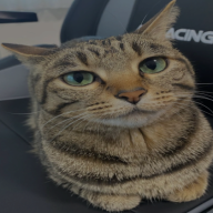 PuyanJR