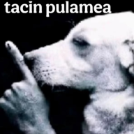 AlexSmekeru112