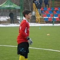 Robertineho