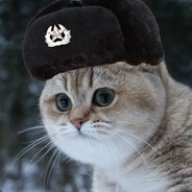 NazSkar