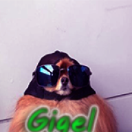 Gigel21