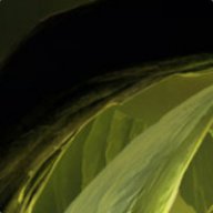 gavrilstefan92:gift-drop.com