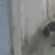 xRain69