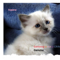 Iopana