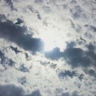 TheSunShine133