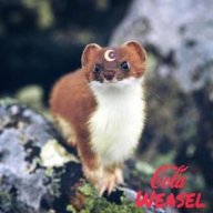 ColaWeasel