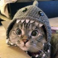Herman.COCORUL