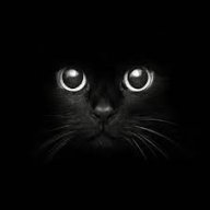 EvilProN