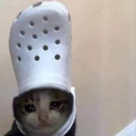 ReallyZeW_