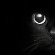 AndyBoy