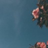StfGng9