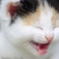 JitterGabrie