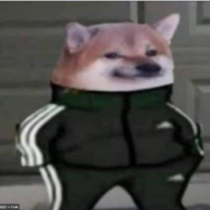 torqqe