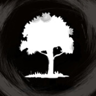 D3N