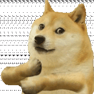 DogeDog5