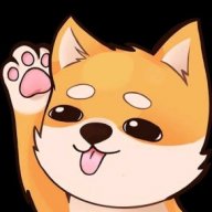 THE DOGGO123