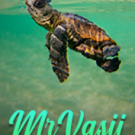 MrVasii