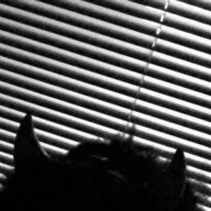 OG_Devilpai