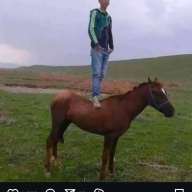 Adrian_Italianu