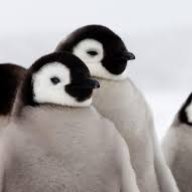PinguTheGood