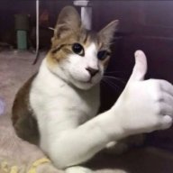 ceface_tactu