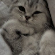 MeiiiIdk9