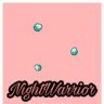 NightWarrior