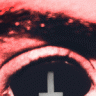 xDraco_