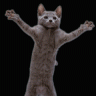 iGamer_