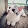 ItzSekFTW