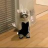 Its_Stefi