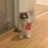 dorito