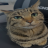 PuyanJR