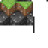 CCarbonate