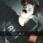 Member 12790