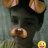 Miidel