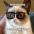 GrumpyCat