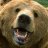 Bearfred [RO] hellcase.com