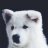 AndreiX_OP