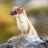 Hudy.OPENCASES.CHEAP