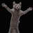 iGamer_