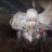 Griffith22
