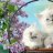 FLUFFFFFFF