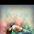 IsabelaMimy