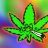 WeedGuy