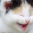 JitterGabrie