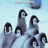 PinguinasulD
