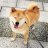 ItzRedWolf